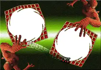 An inscription on the frame: Spiderman