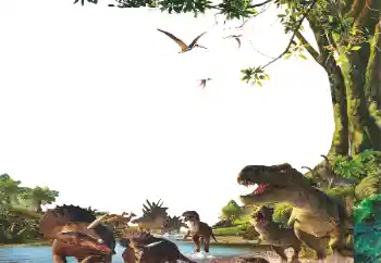 Photo effect from category Different for children № 153254