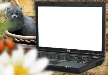 Photo effect from category Different for children № 157214