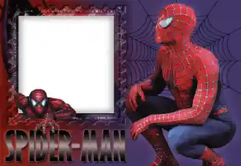 An inscription on the frame: Spider-man