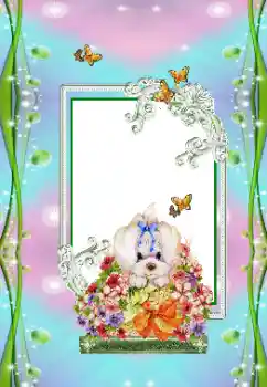 Photo effect from category Children's holidays № 151673