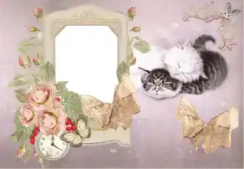 Photo effect from category Bathing, eating, sleeping № 153184