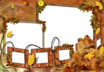 Photo effect from category Bathing, eating, sleeping № 160682