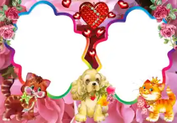 Photo effect from category My toys and pets № 113000 Photo effect from category My toys and pets № 113000