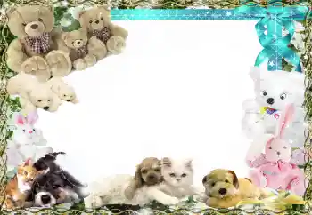 Photo effect from category My toys and pets № 158458 Photo effect from category My toys and pets № 158458