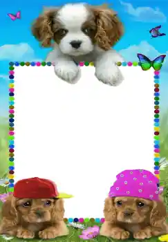 Photo effect from category My toys and pets № 68642 Photo effect from category My toys and pets № 68642
