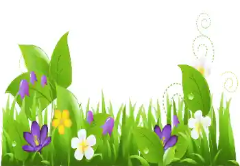 Photo effect from category On the nature № 151888 Photo effect from category On the nature № 151888