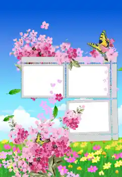 Photo effect from category On the nature № 49514 Photo effect from category On the nature № 49514