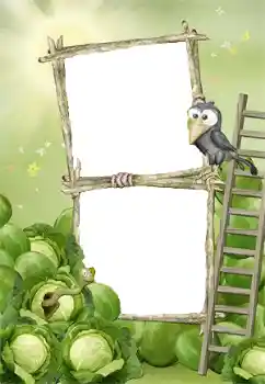 Photo effect from category The first year № 140978 Photo effect from category The first year № 140978