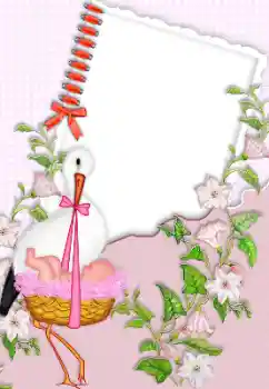 Photo effect from category The first year № 150384 Photo effect from category The first year № 150384