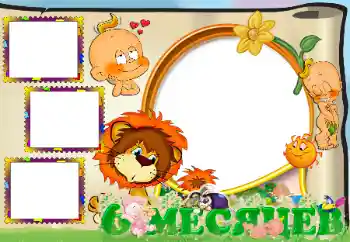 An inscription on the frame: 6 month An inscription on the frame: 6 month