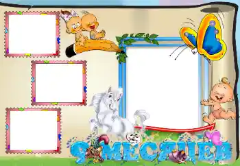 An inscription on the frame: 9 month An inscription on the frame: 9 month