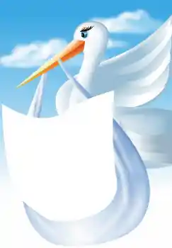 Photo effect from category The first year № 4591