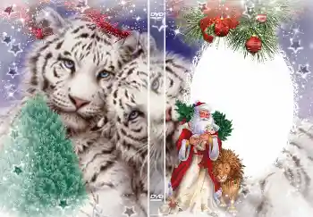 An inscription on the frame: New Year