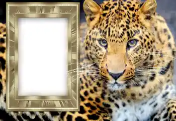 An inscription on the frame: 2026