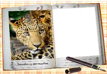 An inscription on the frame: 2026