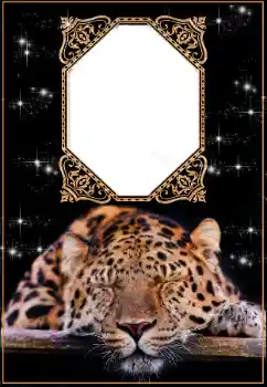 An inscription on the frame: 2026