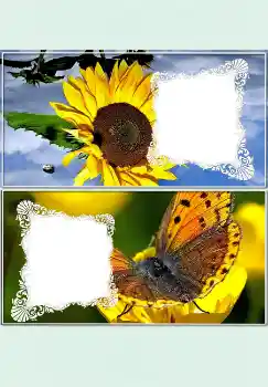 Photo effect from category Desktop № 4523 Photo effect from category Desktop № 4523