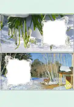 Photo effect from category Desktop № 4524 Photo effect from category Desktop № 4524