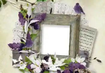 Photo effect from category Different № 100112