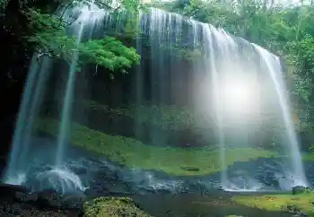 Photo effect from category Different № 100117