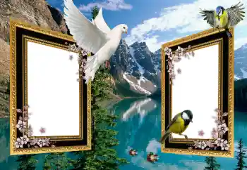 Photo effect from category Different № 101225