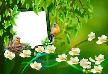 Photo effect from category Different № 101227