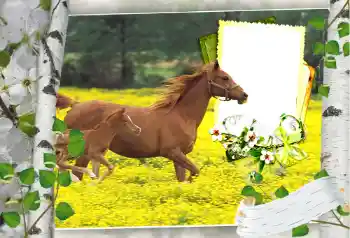 Photo effect from category Different № 101264