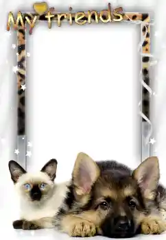 An inscription on the frame: My friends