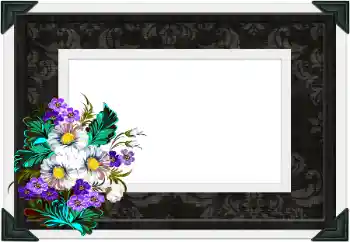 Photo effect from category Different № 104106