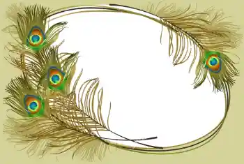 Photo effect from category Different № 105263 Photo effect from category Different № 105263