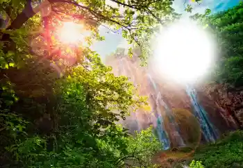 Photo effect from category Different № 105565 Photo effect from category Different № 105565