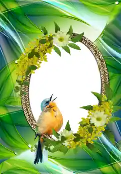 Photo effect from category Different № 105576 Photo effect from category Different № 105576