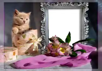 Photo effect from category Different № 10835