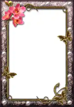 Photo effect from category Different № 112004 Photo effect from category Different № 112004