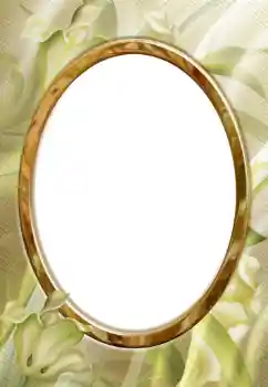 Photo effect from category Different № 112278 Photo effect from category Different № 112278