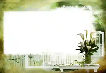 Photo effect from category Different № 112461 Photo effect from category Different № 112461