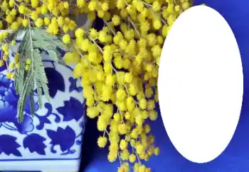 Photo effect from category Different № 112719 Photo effect from category Different № 112719