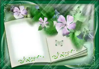 Photo effect from category Different № 112842 Photo effect from category Different № 112842