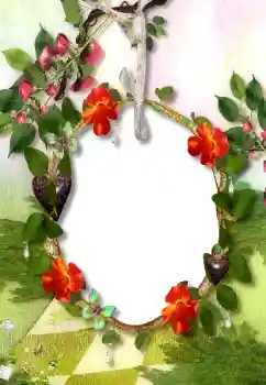 Photo effect from category Different № 113118