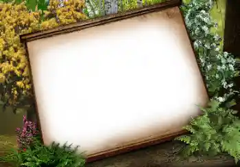 Photo effect from category Different № 113134