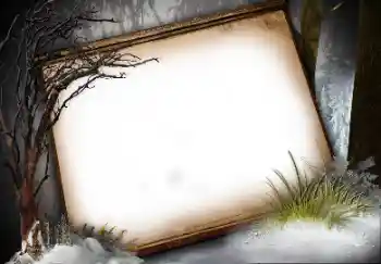 Photo effect from category Different № 113136 Photo effect from category Different № 113136