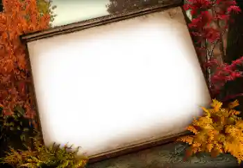 Photo effect from category Different № 113138 Photo effect from category Different № 113138