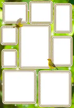 Photo effect from category Different № 114577 Photo effect from category Different № 114577