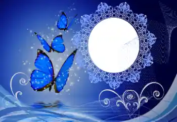 Photo effect from category Different № 114747 Photo effect from category Different № 114747