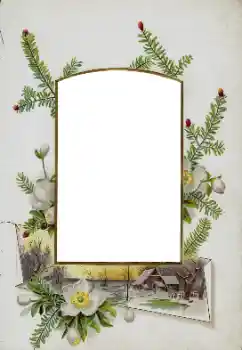 Photo effect from category Different № 115833 Photo effect from category Different № 115833