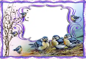 Photo effect from category Different № 115877 Photo effect from category Different № 115877