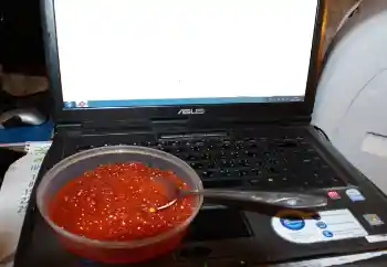 Photo effect from category Different № 115910 Photo effect from category Different № 115910