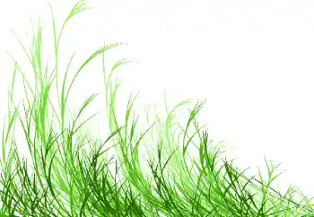 Photo effect from category Different № 115932 Photo effect from category Different № 115932