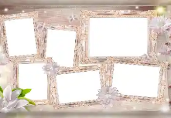 Photo effect from category Different № 115976 Photo effect from category Different № 115976